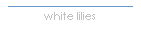 white lilies